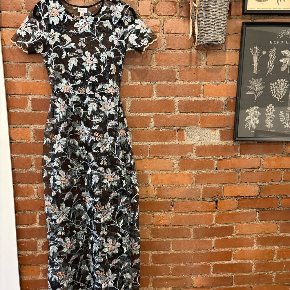 LulaRoe Sheer Floral Embroidered Black Dress
